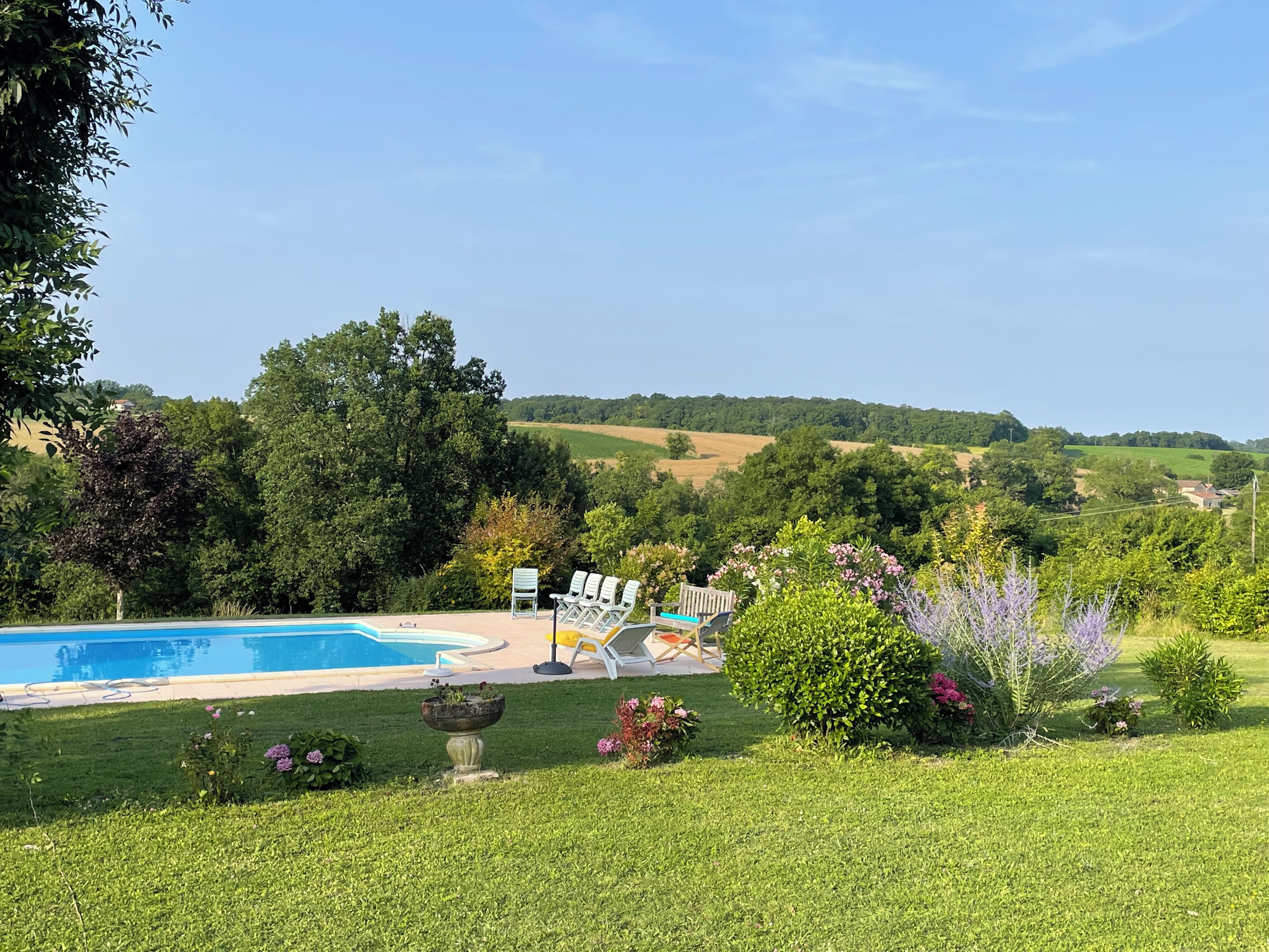A swimming pool with lounge chairs and a garden.