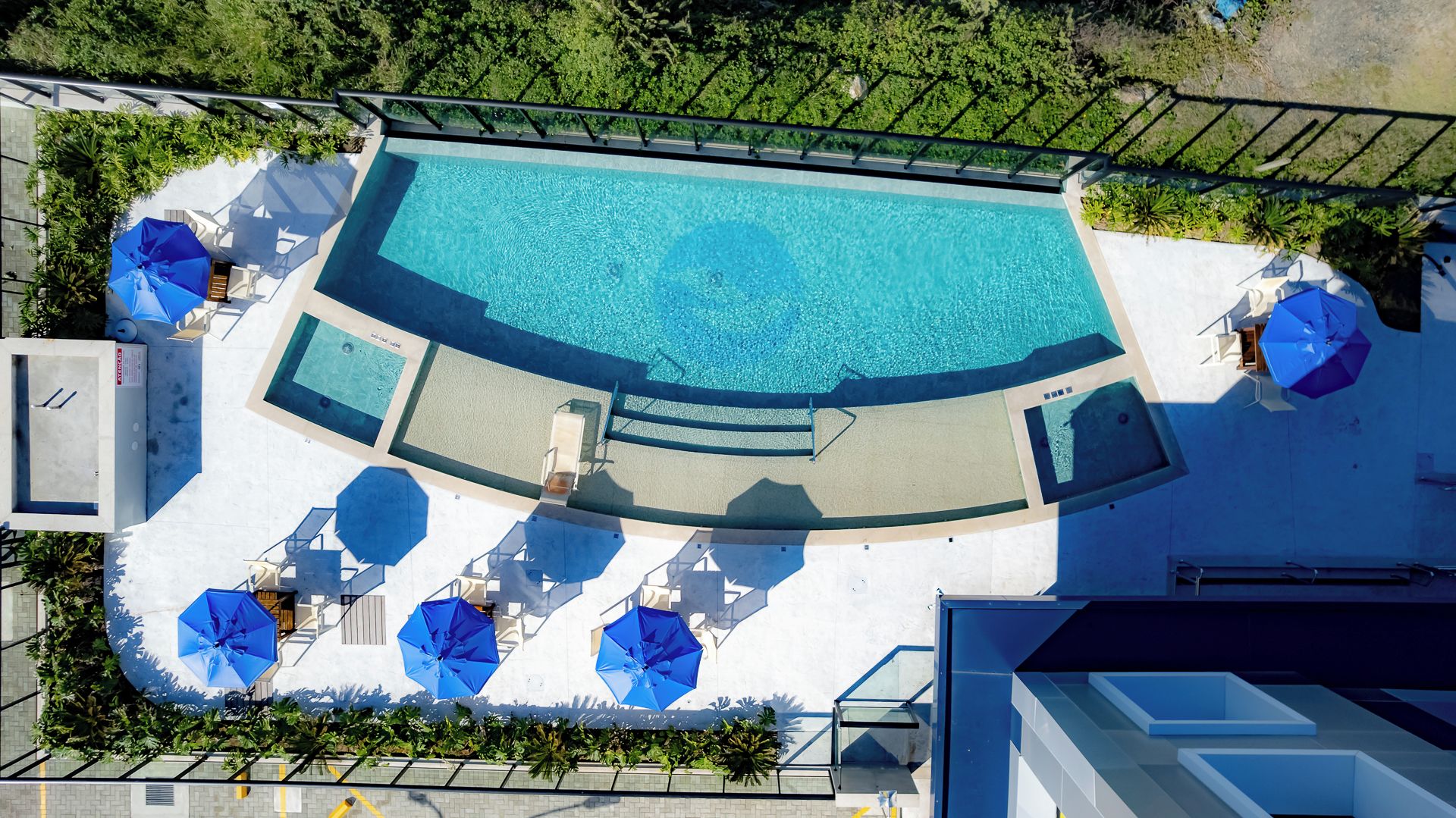 Vista aérea de una piscina con varias tumbonas y sombrillas, rodeada de follaje.
