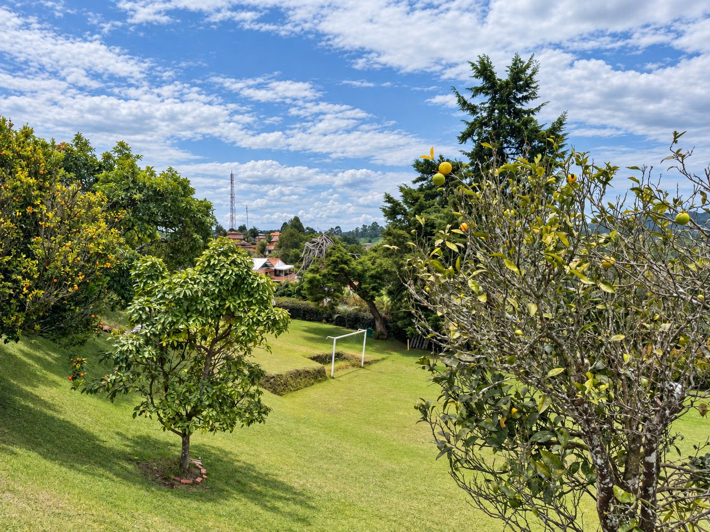 A well-maintained grassy area with trees and a distant view of houses.
