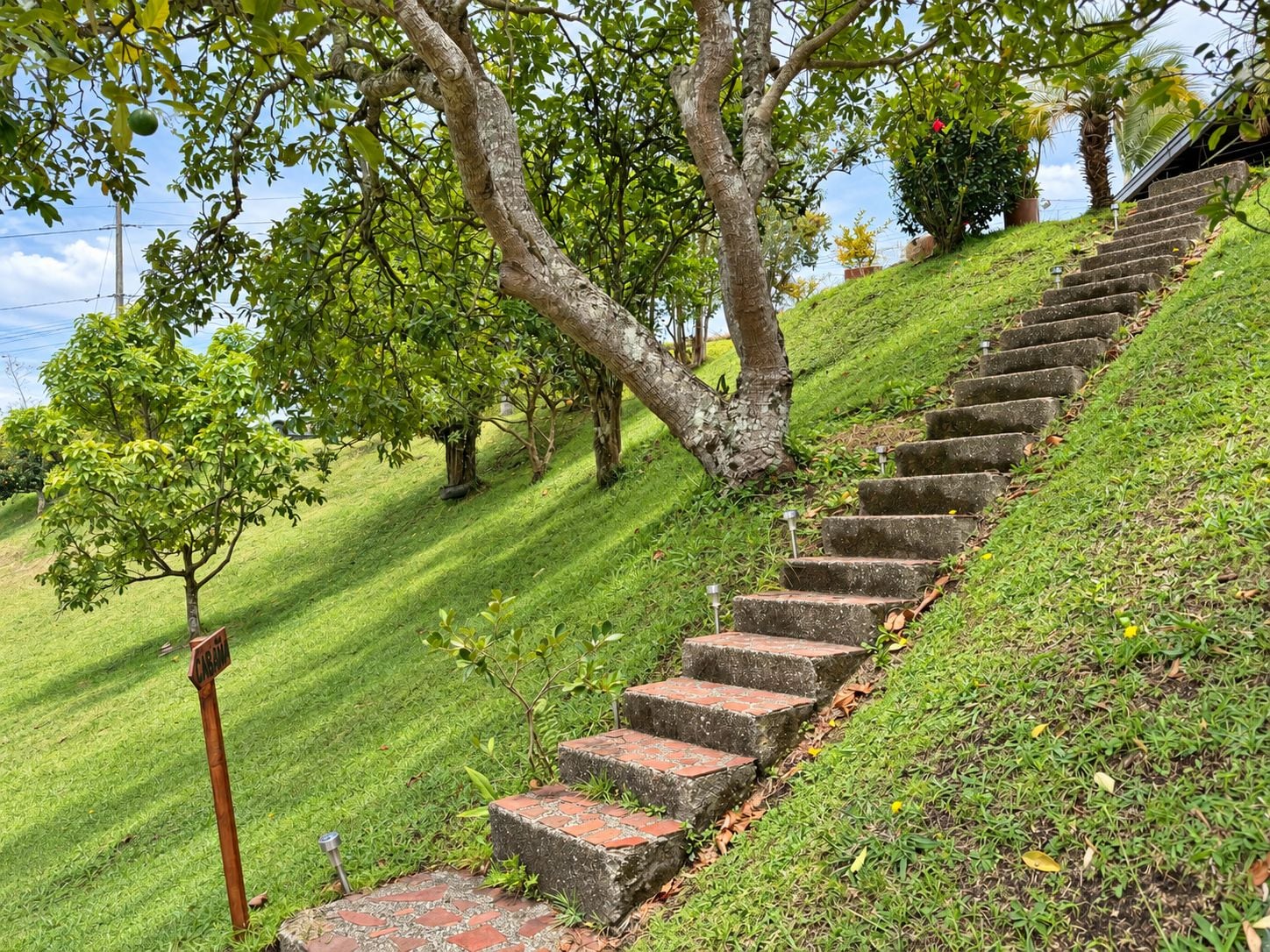 Un escalier en pierre menant au sommet d’une colline verdoyante, entouré d’arbres et sous un ciel dégagé.