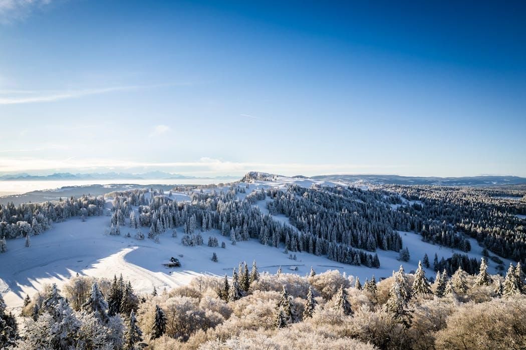 Et panorama over et snedækket landskab med tætte skove og en klar himmel.