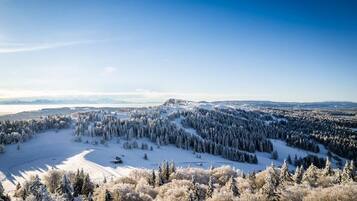 Et panorama over et snedækket landskab med tætte skove og en klar himmel.
