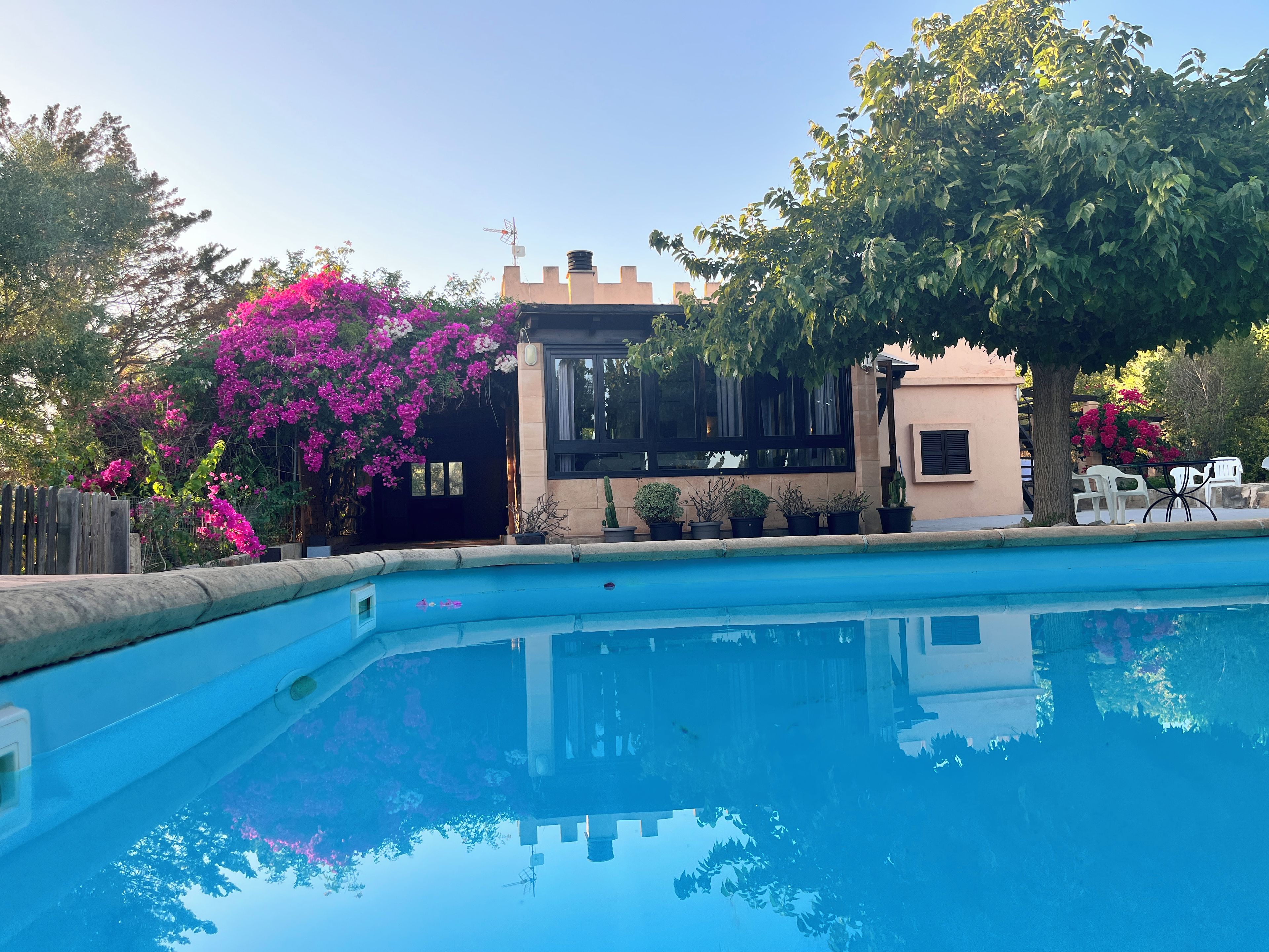 A swimming pool with a house in the background, surrounded by trees and flowering plants.