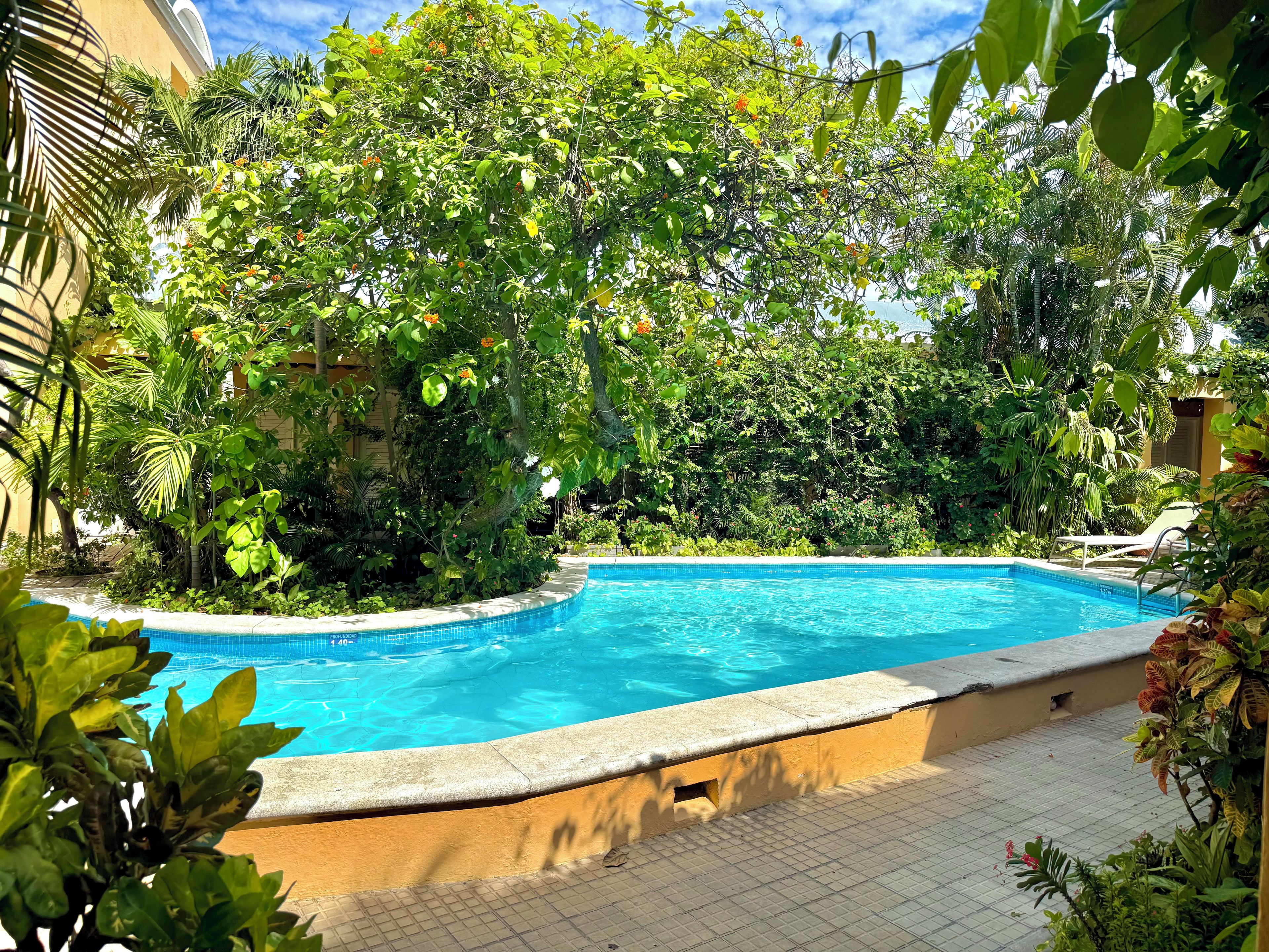 Una piscina envoltada de vegetació exuberant i un cel blau clar.