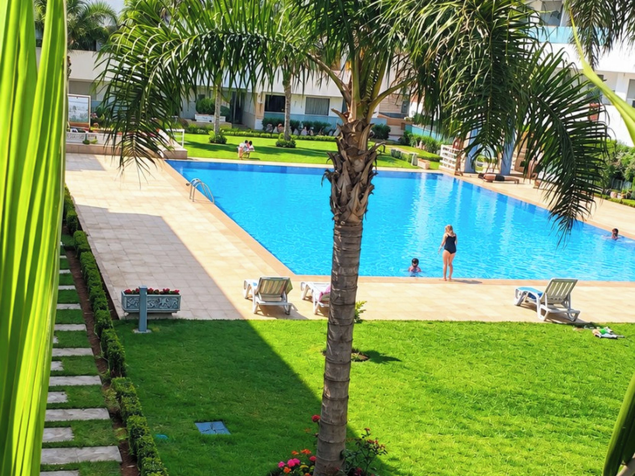 A swimming pool with a palm tree, a grassy area, and a building in the background.