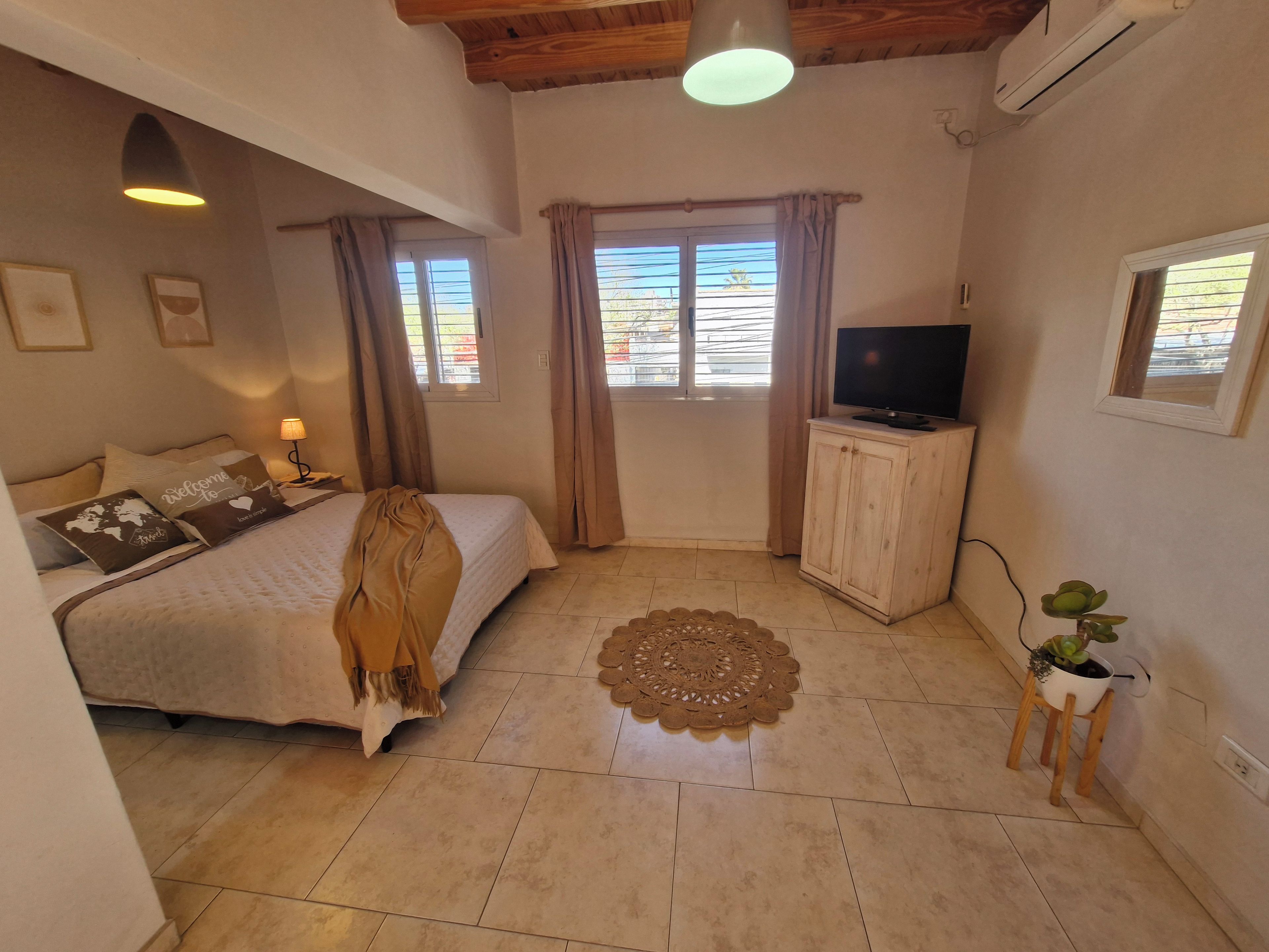 A bedroom with a bed, a television, a cabinet, a decorative rug, and a potted plant.