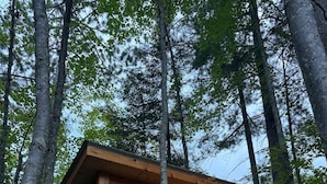 Una baita di legno con una finestra e una porta, circondata da alberi.