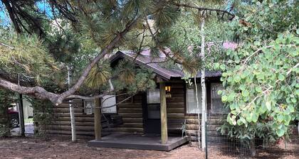 Three Pines Cabin - Cozy & Comfortable 3 Bedroom