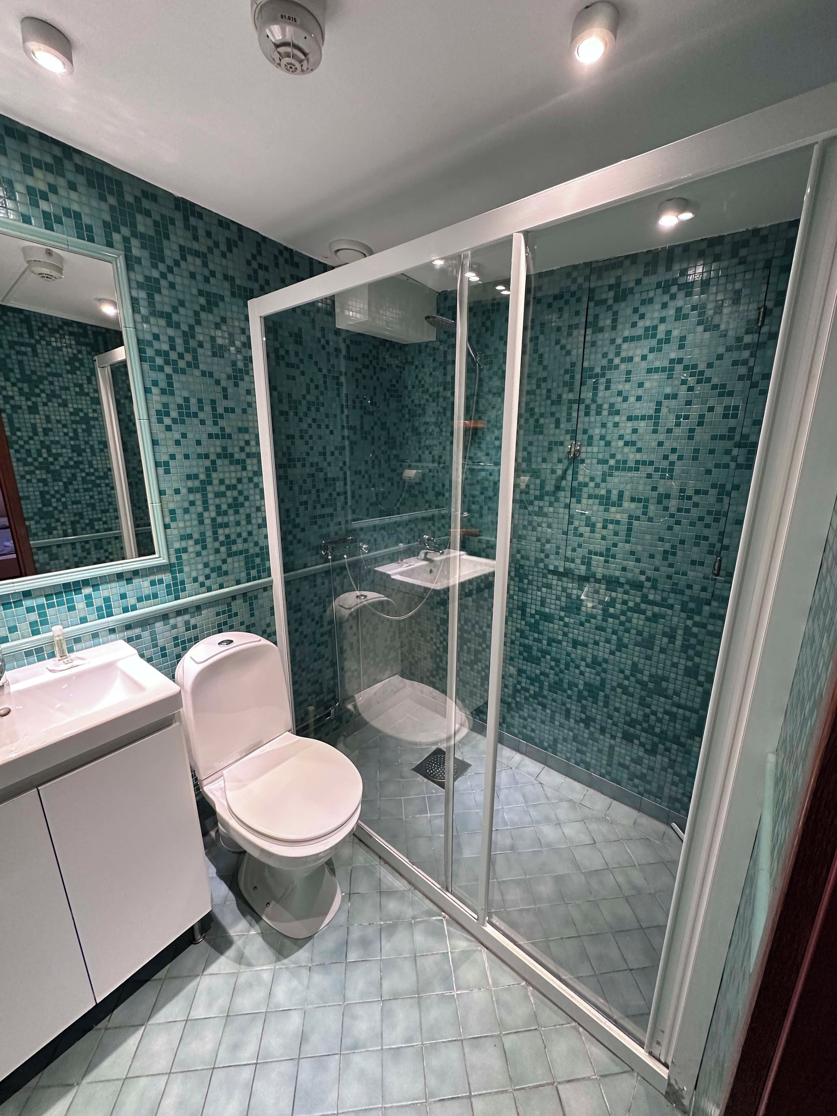 Et moderne badeværelse med et brusebadeværelse bag glas, toilet og håndvask.