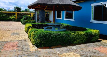Charming 3-bedroom house with AC, Pool and Free High-speed Starlink Wi-Fi