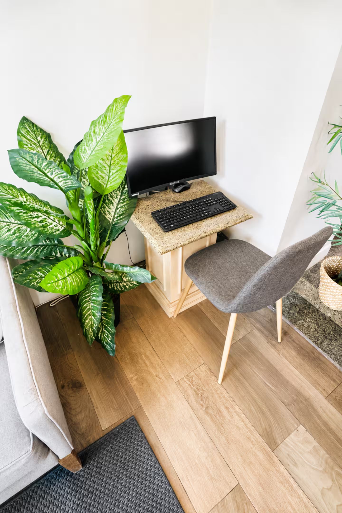 Ein Büro im Eckbereich mit Computertisch, Stuhl, Fernseher und einer großen Kübelpflanze.