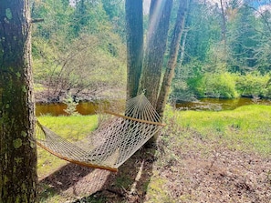 A hammock suspended between trees in a forested area with a river in the background.
