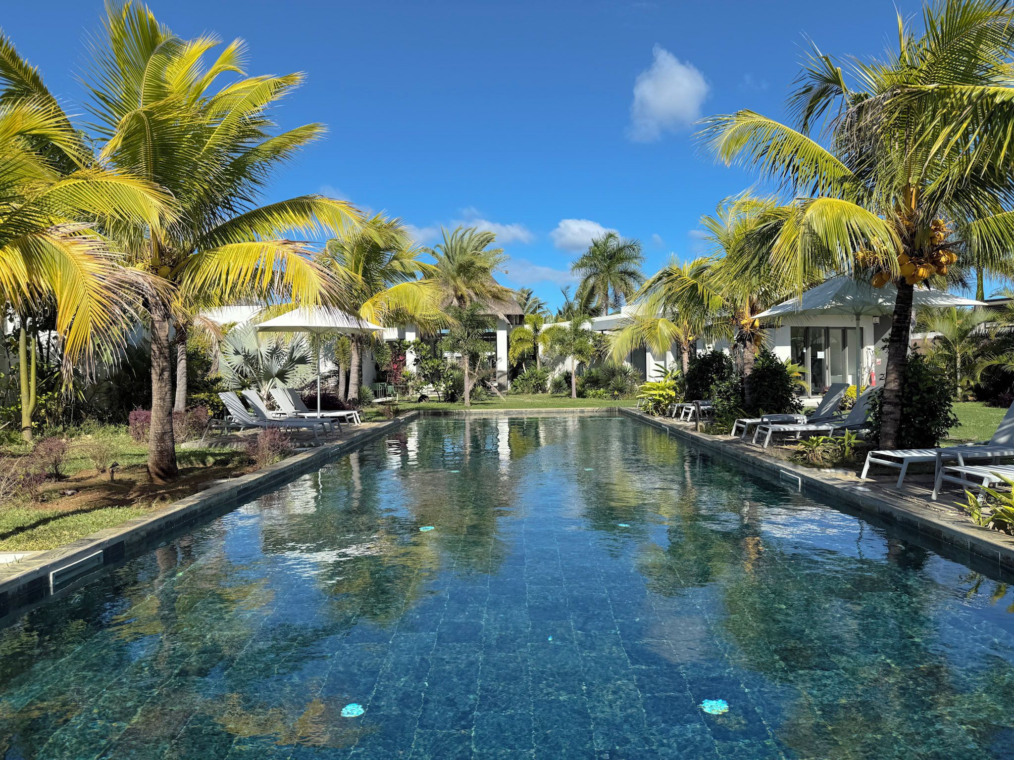A clear pool with lounge chairs and palm trees, surrounded by buildings.