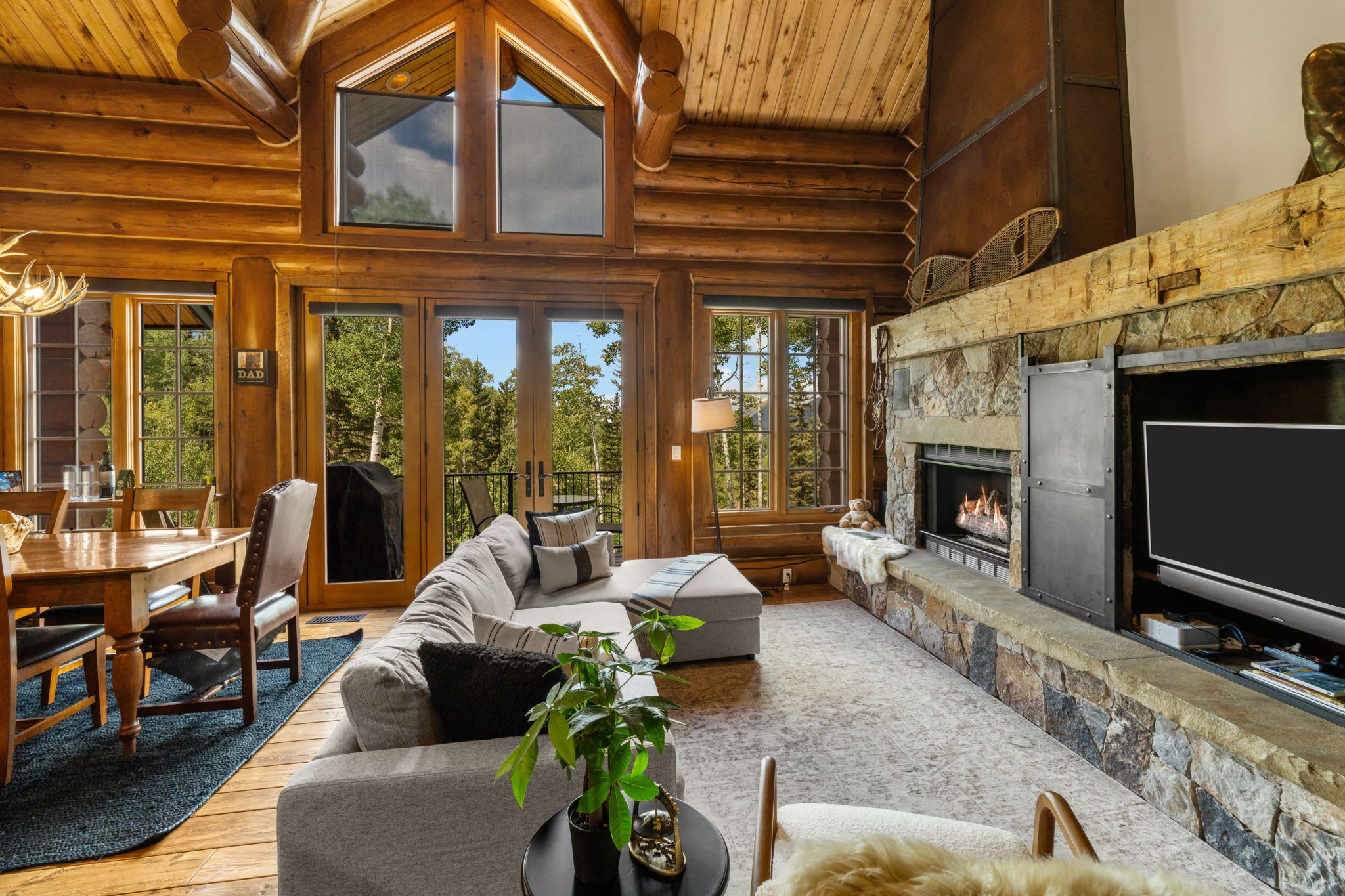 TV, fireplace