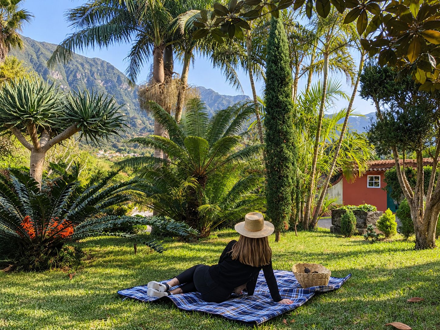 A person relaxing on a blanket in a garden with a mountain view.
