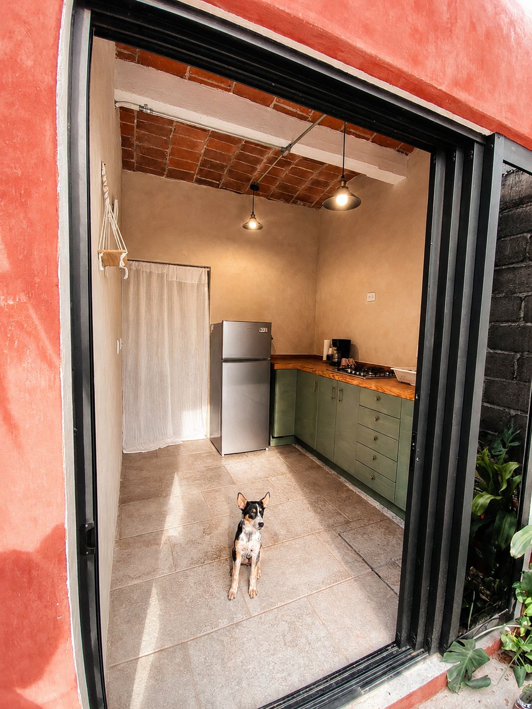 Un cane in piedi in una porta, con una cucina visibile all'interno.