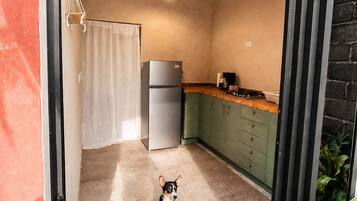 Un cane in piedi in una porta, con una cucina visibile all'interno.