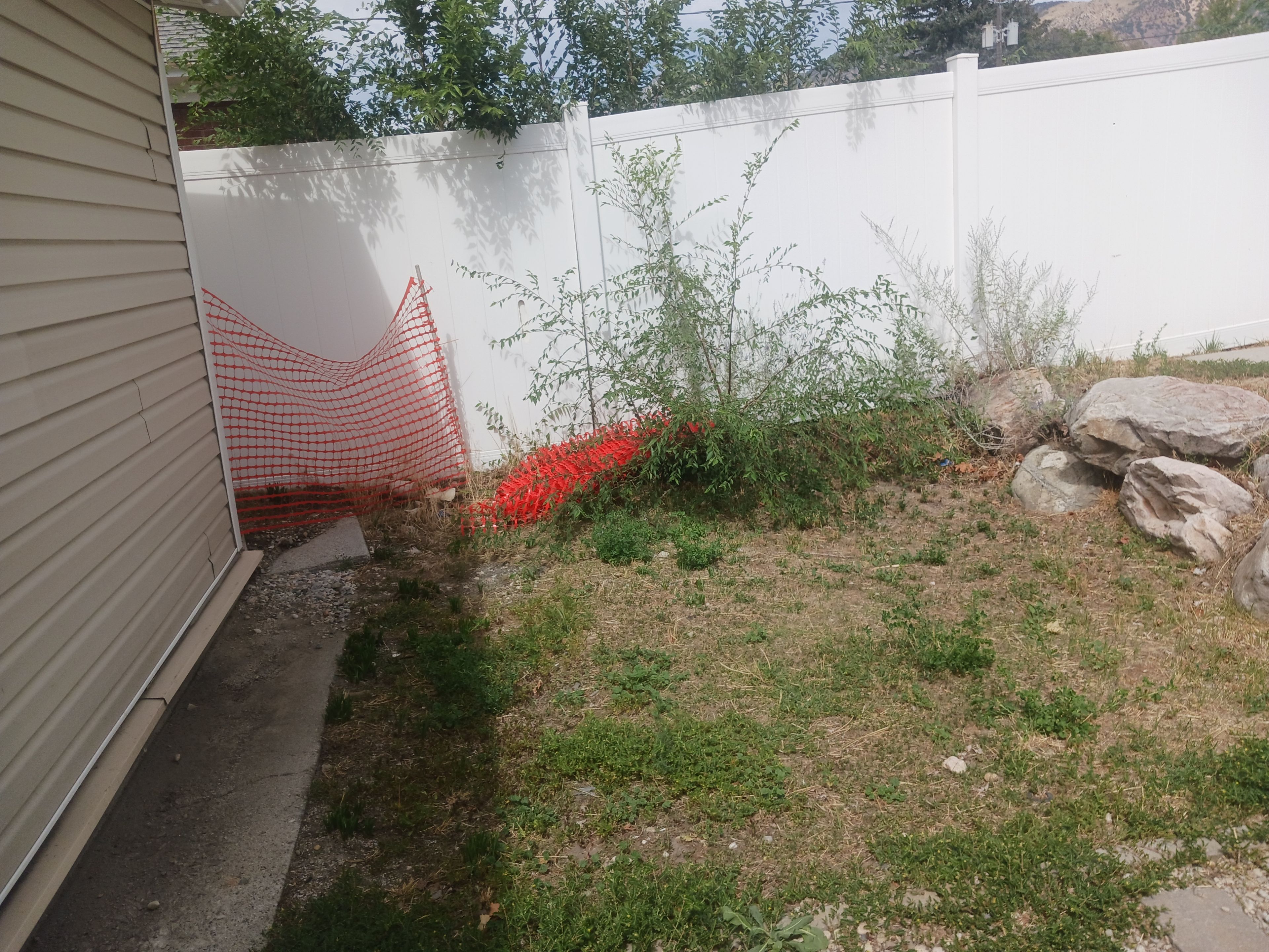 A fenced backyard with a white wall, a small garden area with grass and plants, and a red netting structure.
