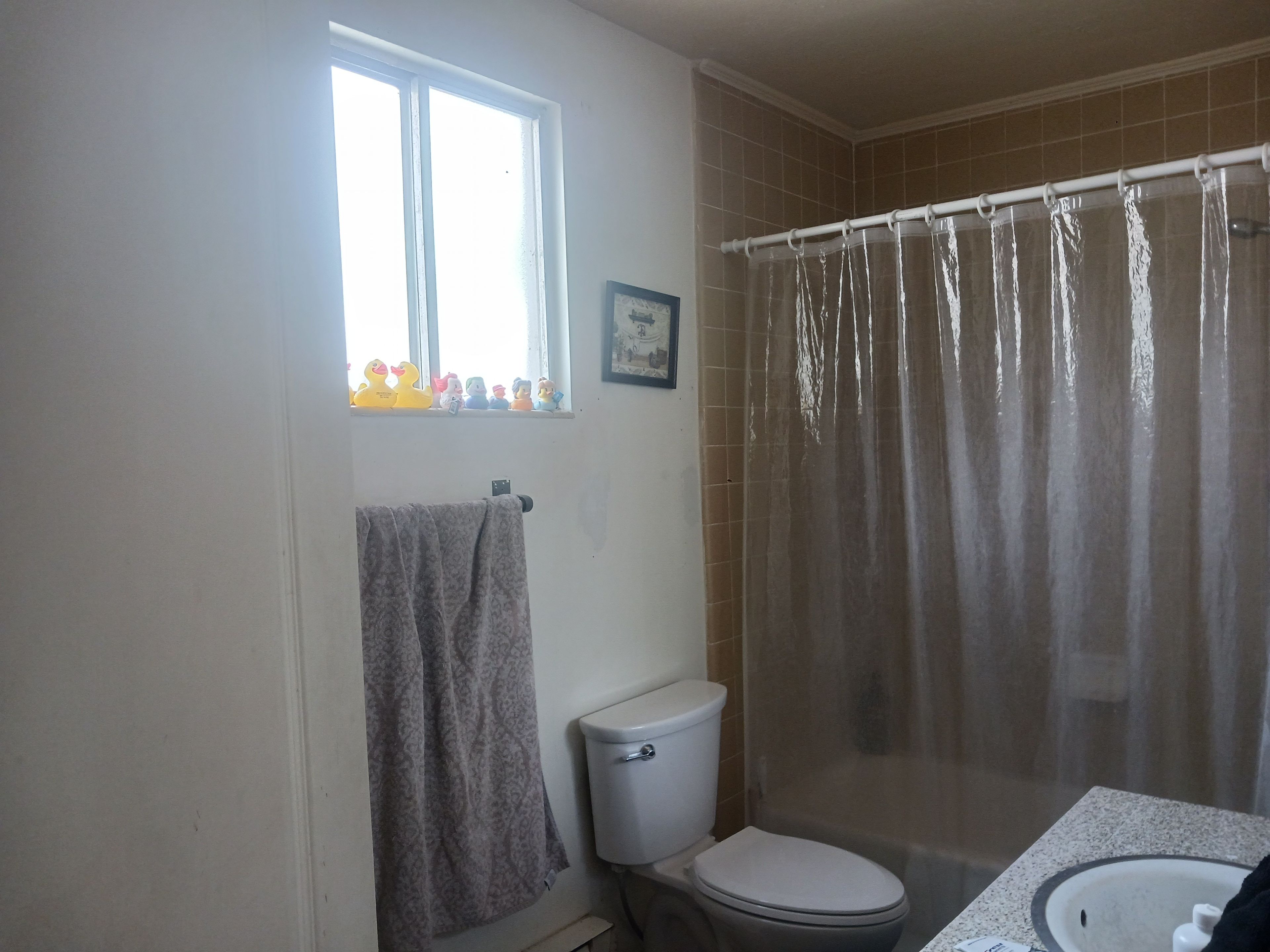 A bathroom with a toilet, a shower curtain, a window with a view of ducks, and a towel hanging on the wall.