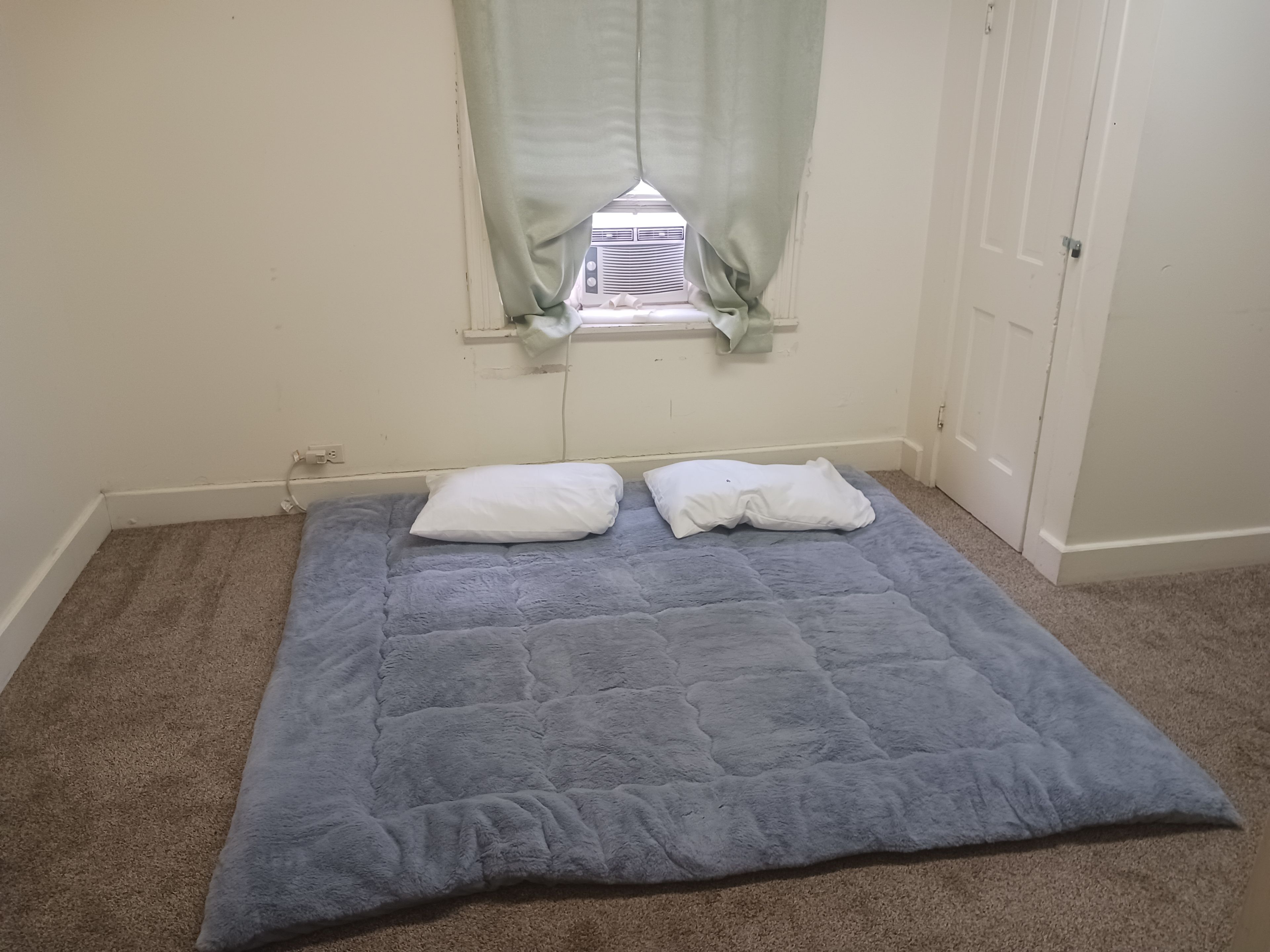A room with a single bed, a window with curtains, a door, and a carpeted floor.