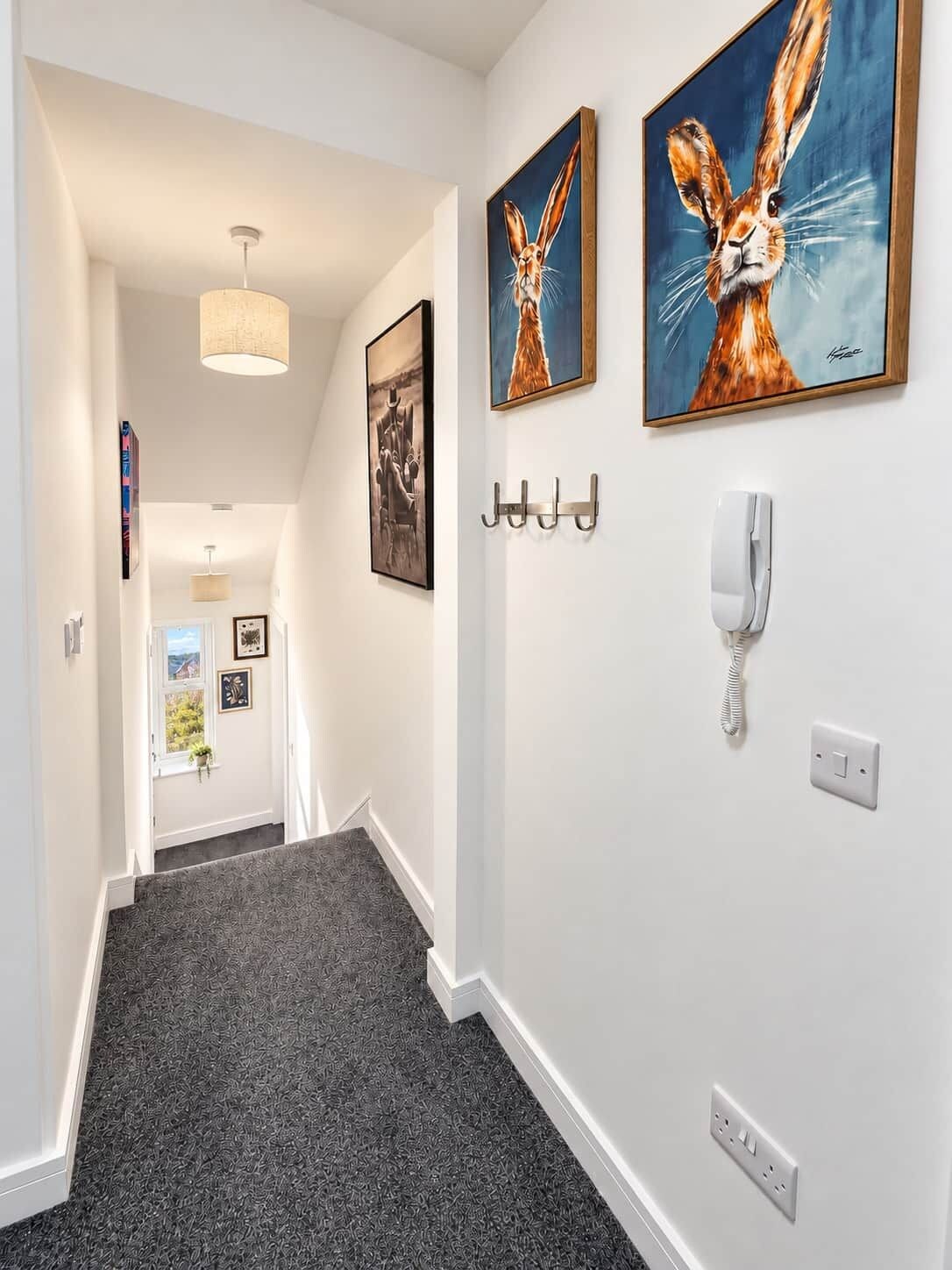 A hallway with a grey carpet, a white wall, and two framed paintings of rabbits. There are hooks on the wall and a white telephone.