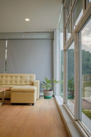 Una habitación moderna con sofá, planta en maceta y un amplio ventanal.