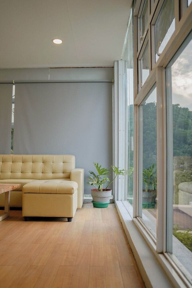 Une pièce moderne avec un canapé, une plante en pot et une grande fenêtre.