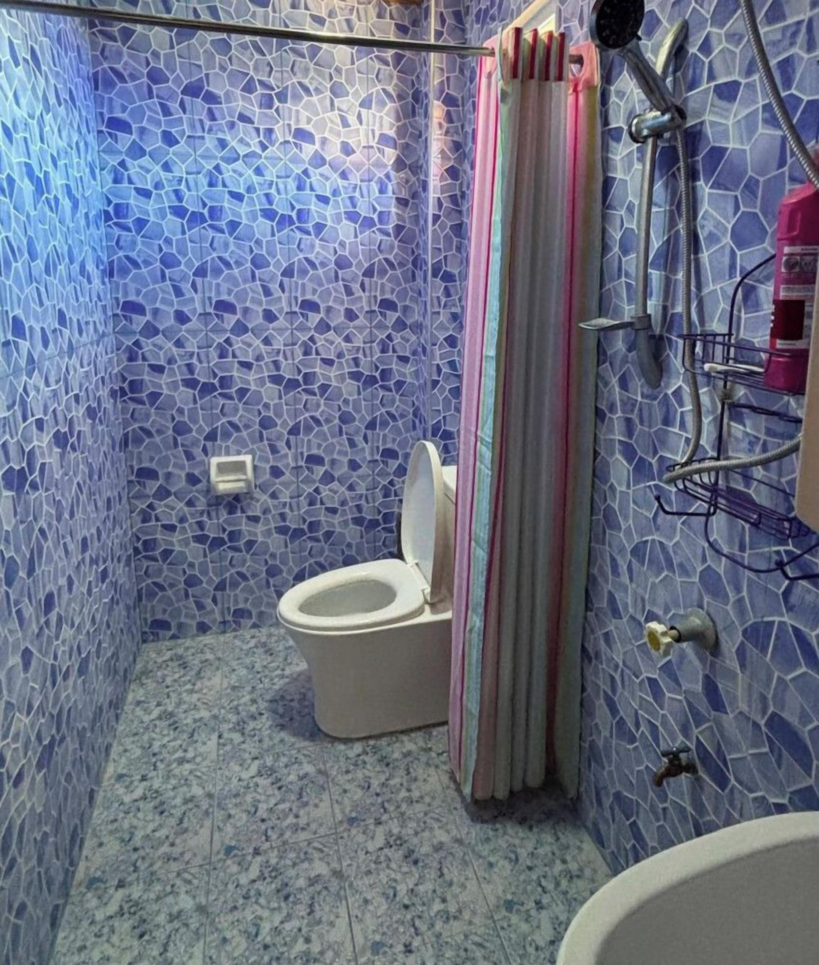 Un bagno con parete in mosaico, un water, zona doccia e lavandino.