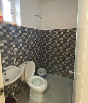Un baño con inodoro, lavamanos y ducha.