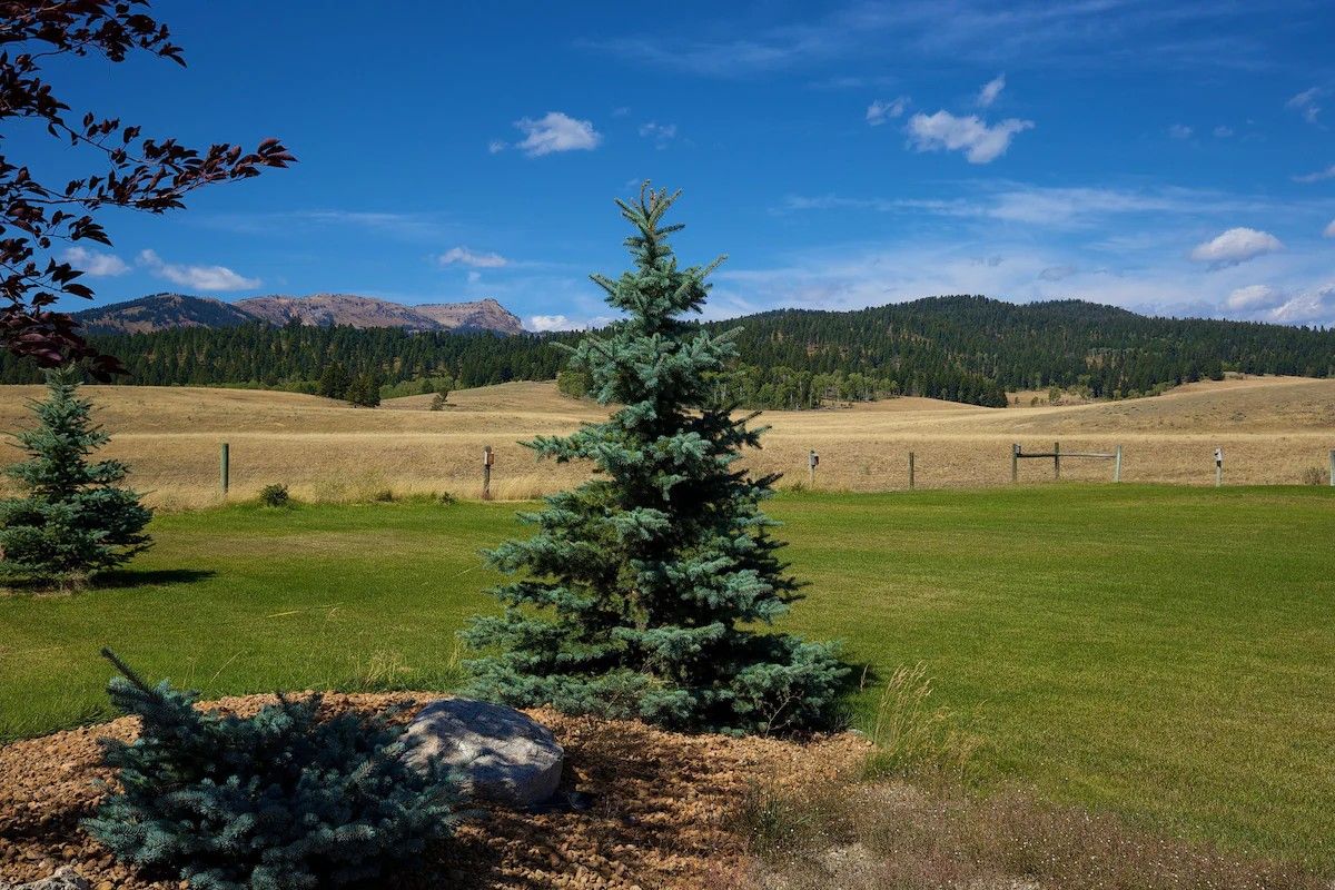 Ländliche Landschaft mit einer Fichte im Vordergrund, einem Zaun in der Mitte und einem Gebirge im Hintergrund.