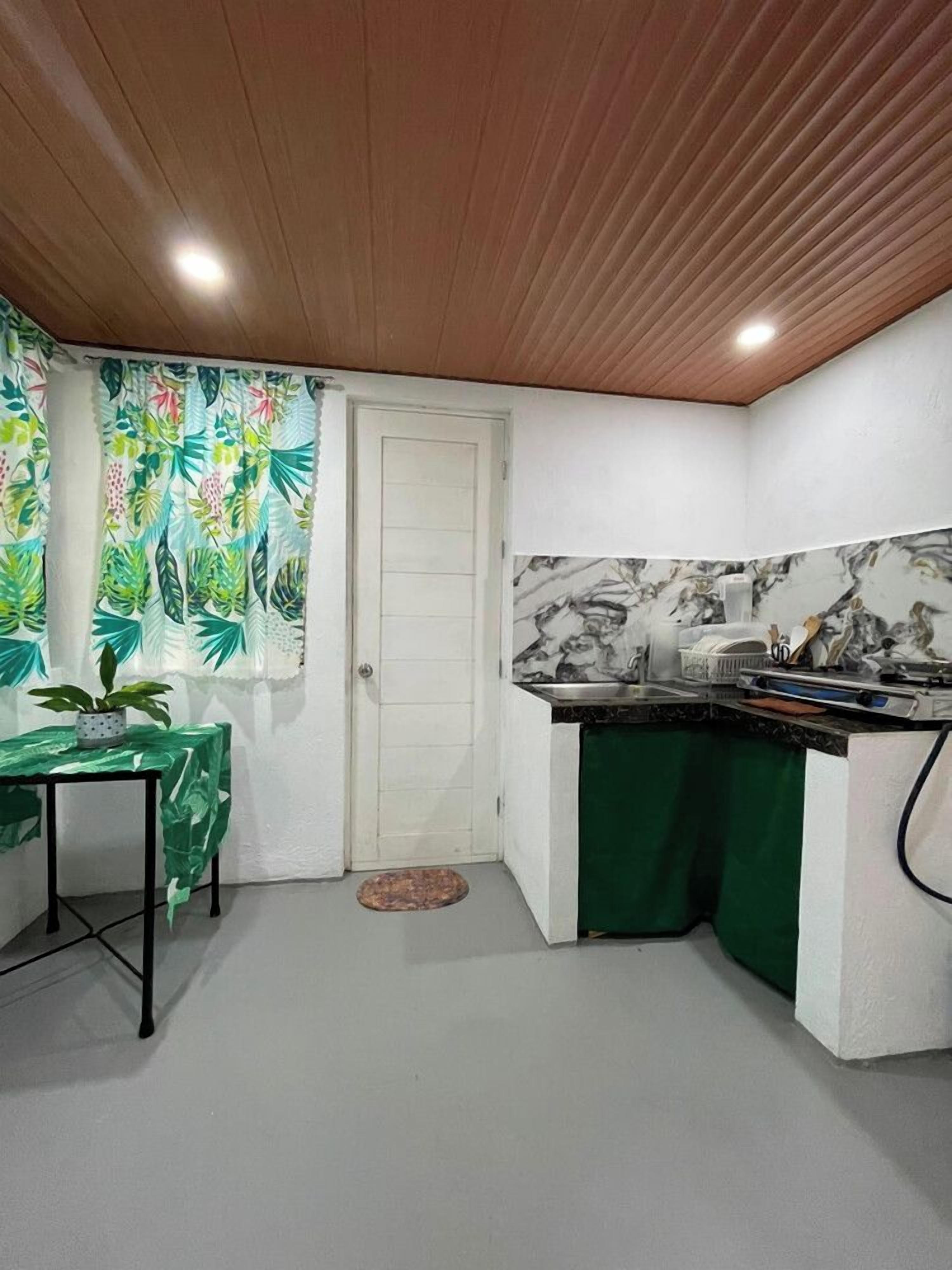A compact kitchen with a wooden ceiling, a door, a small table with a plant, and a countertop with a sink.