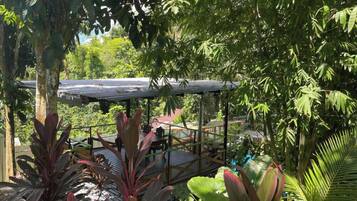 A covered outdoor area with a wooden deck, surrounded by lush greenery and large-leafed plants.
