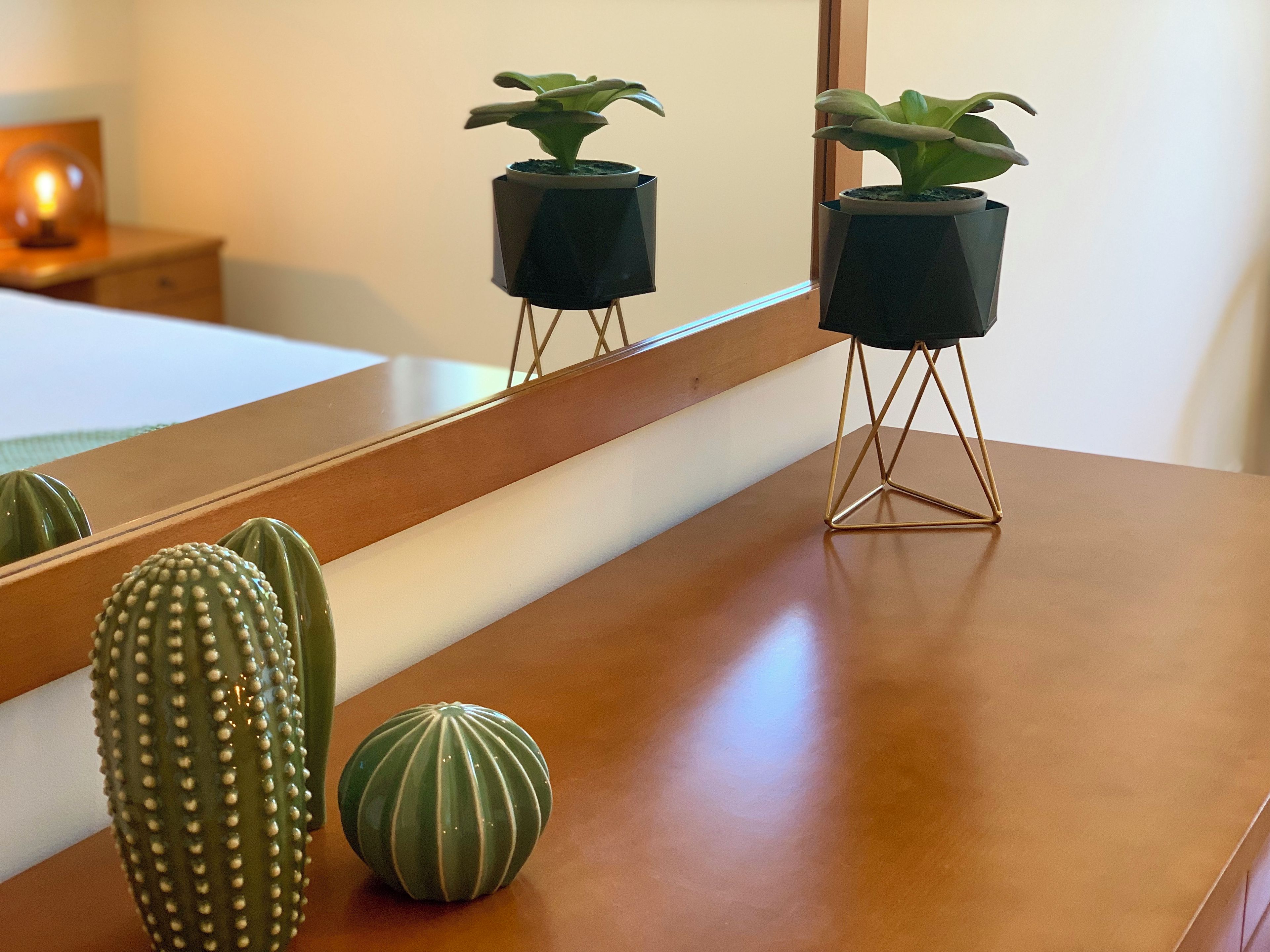 A wooden table with two potted plants on stands, a mirror reflecting the room, and two cacti on the table.
