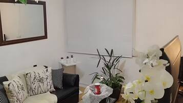 Una sala de estar con un sofá negro, una mesa de centro de vidrio, una planta en maceta y un espejo en la pared.