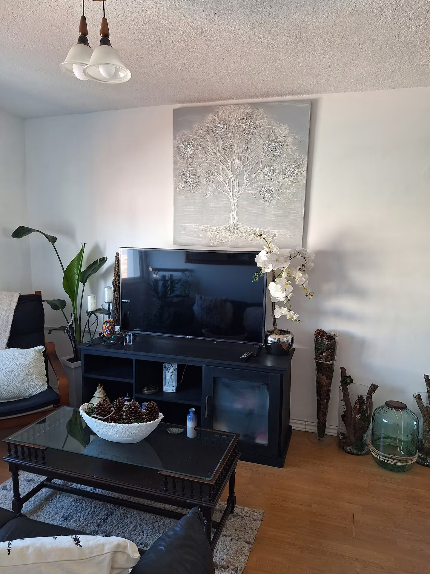 A living room with a flat-screen TV on a black stand, a coffee table with a bowl of pinecones, a potted plant, and a wall-mounted tree sculpture.