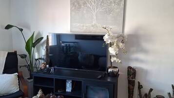 A living room with a flat-screen TV on a black stand, a coffee table with a bowl of pinecones, a potted plant, and a wall-mounted tree sculpture.