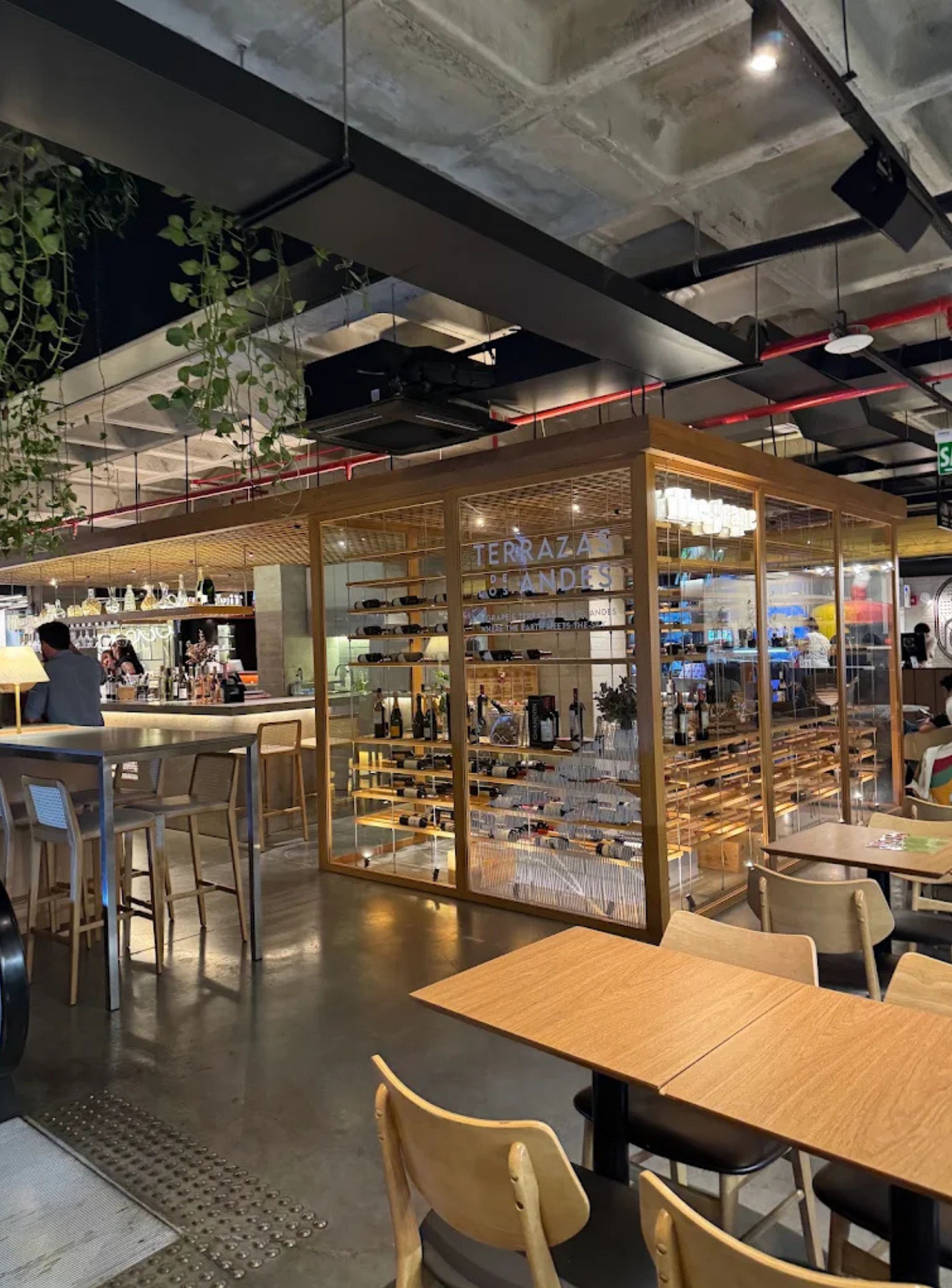 An indoor space with a wine cellar, wooden shelves, and seating areas.