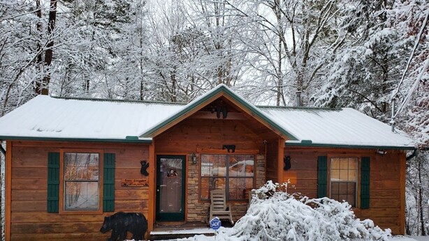 Een houten chalet met schuine kap en een voordeur.