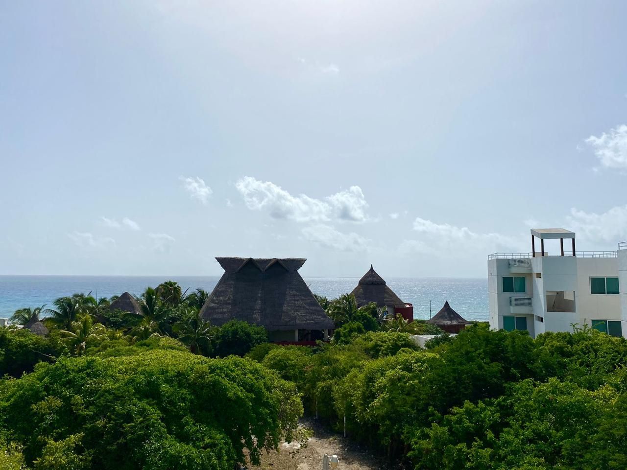 A resort with thatched-roof buildings, lush greenery, and a view of the ocean.