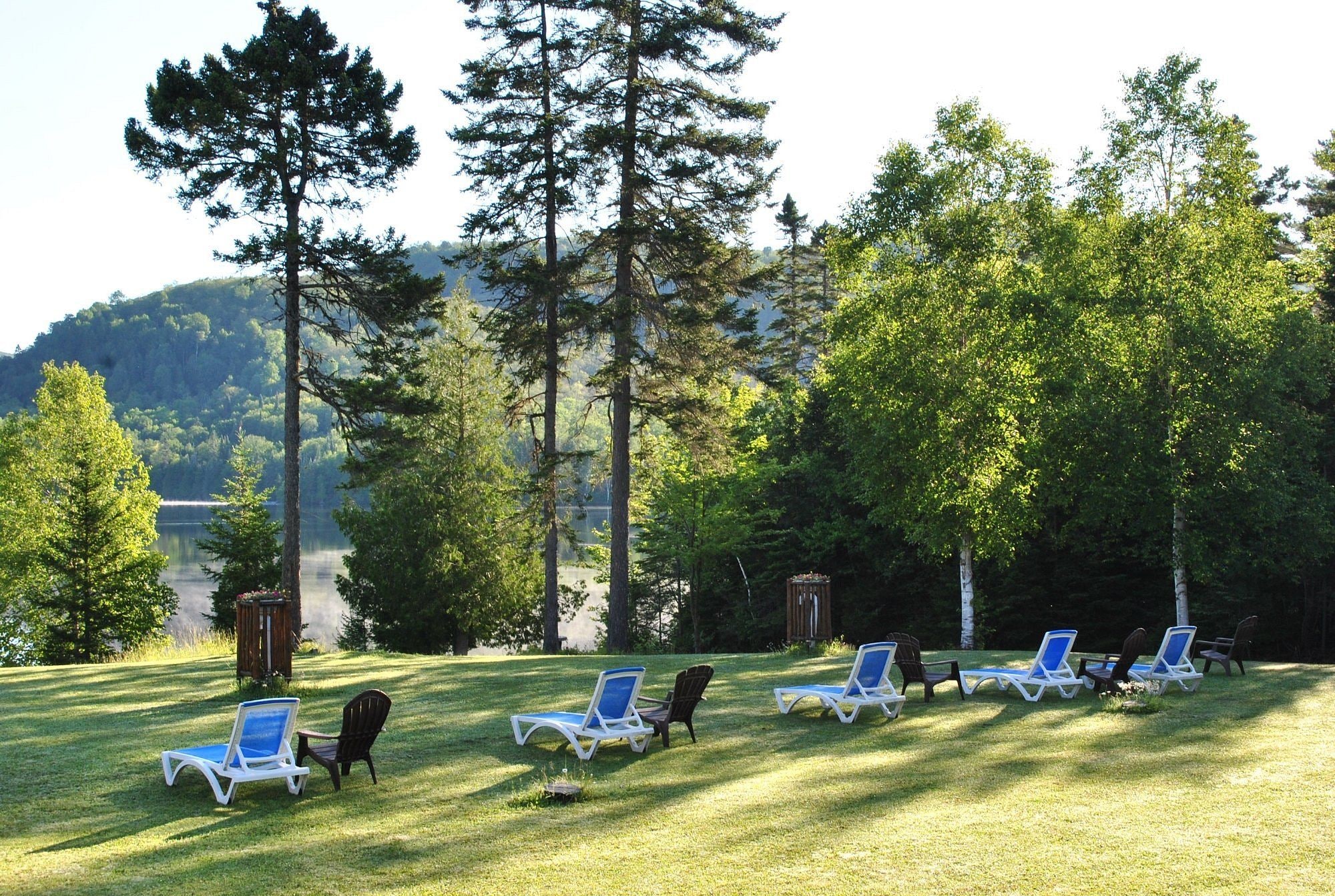 Une zone herbeuse où des chaises longues sont disposées en rangées, entourée d’arbres, avec une vue sur un lac et des collines en arrière-plan.