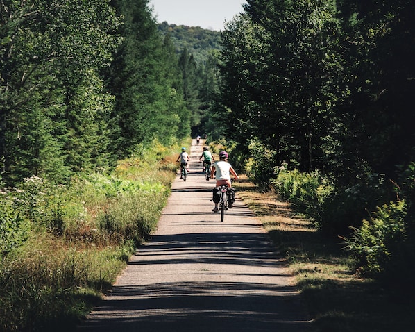 A paved path with cyclists, surrounded by dense greenery and trees.