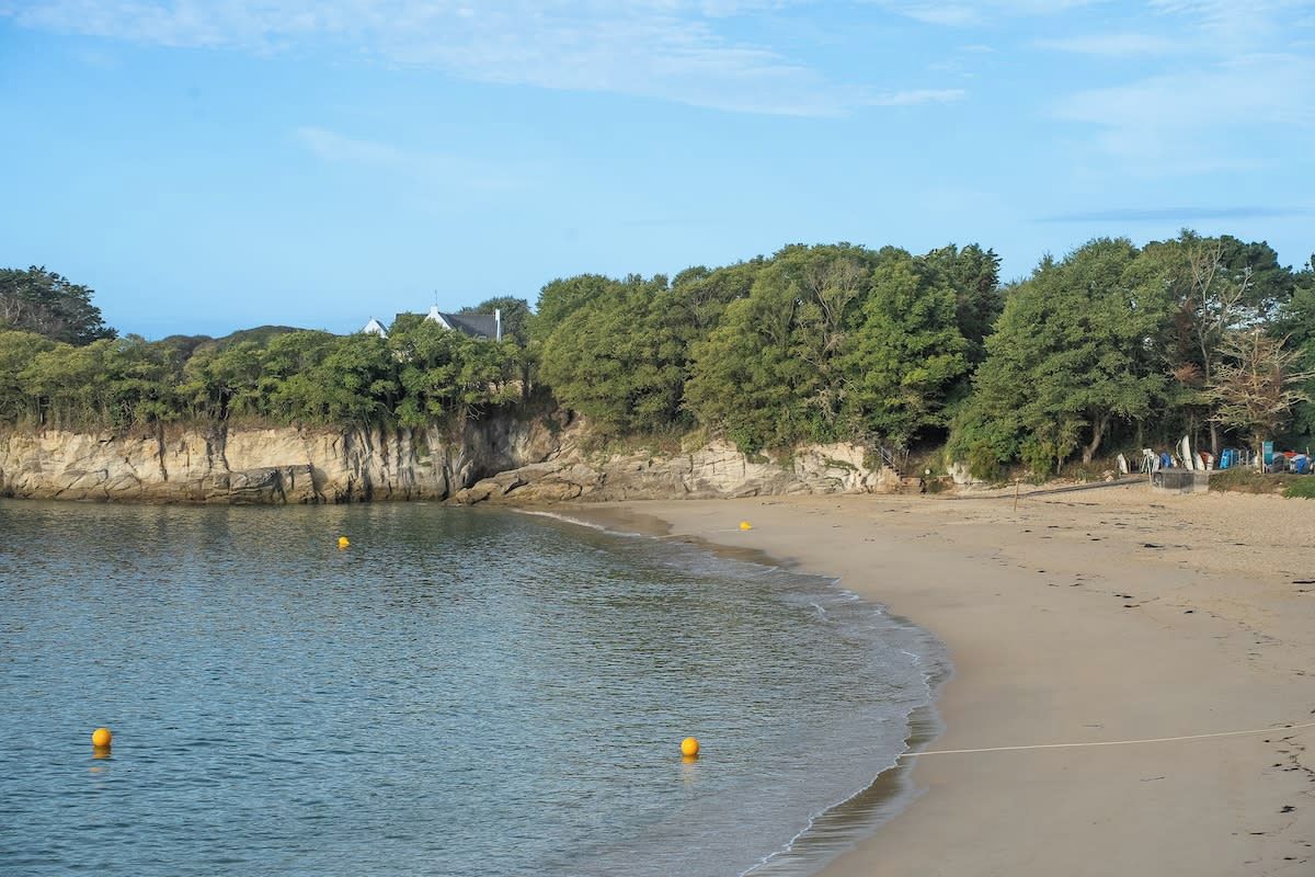 A beach with clear water, a sandy shore, and a forested cliff.