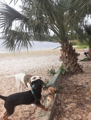 Playa