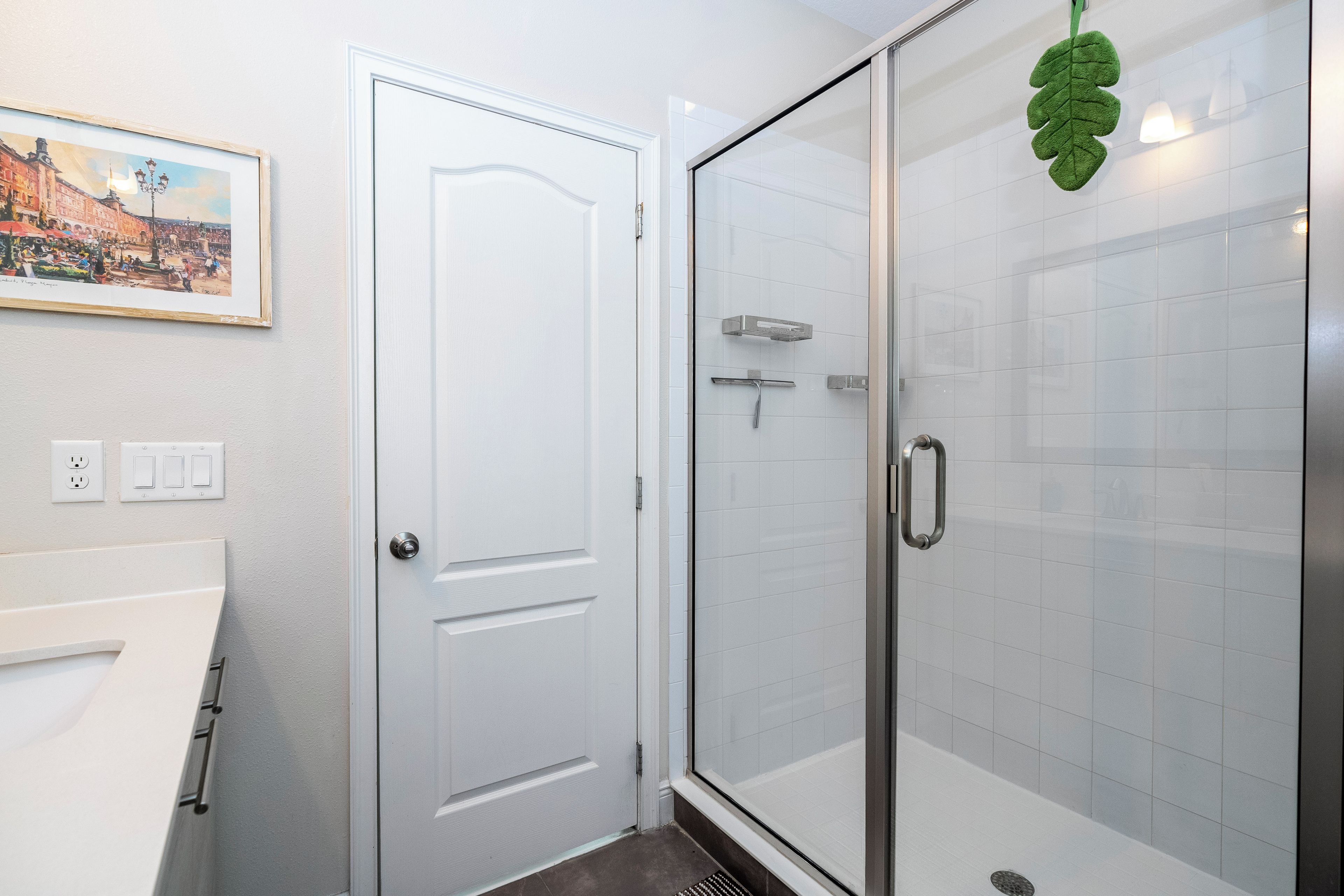 Un baño con una puerta blanca, cabina de ducha de vidrio y un adorno de hoja verde.