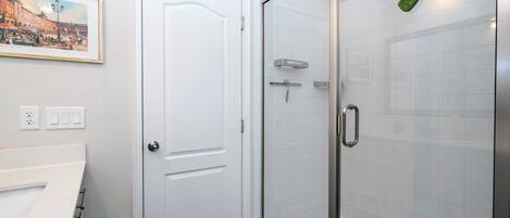 Un baño con una puerta blanca, cabina de ducha de vidrio y un adorno de hoja verde.