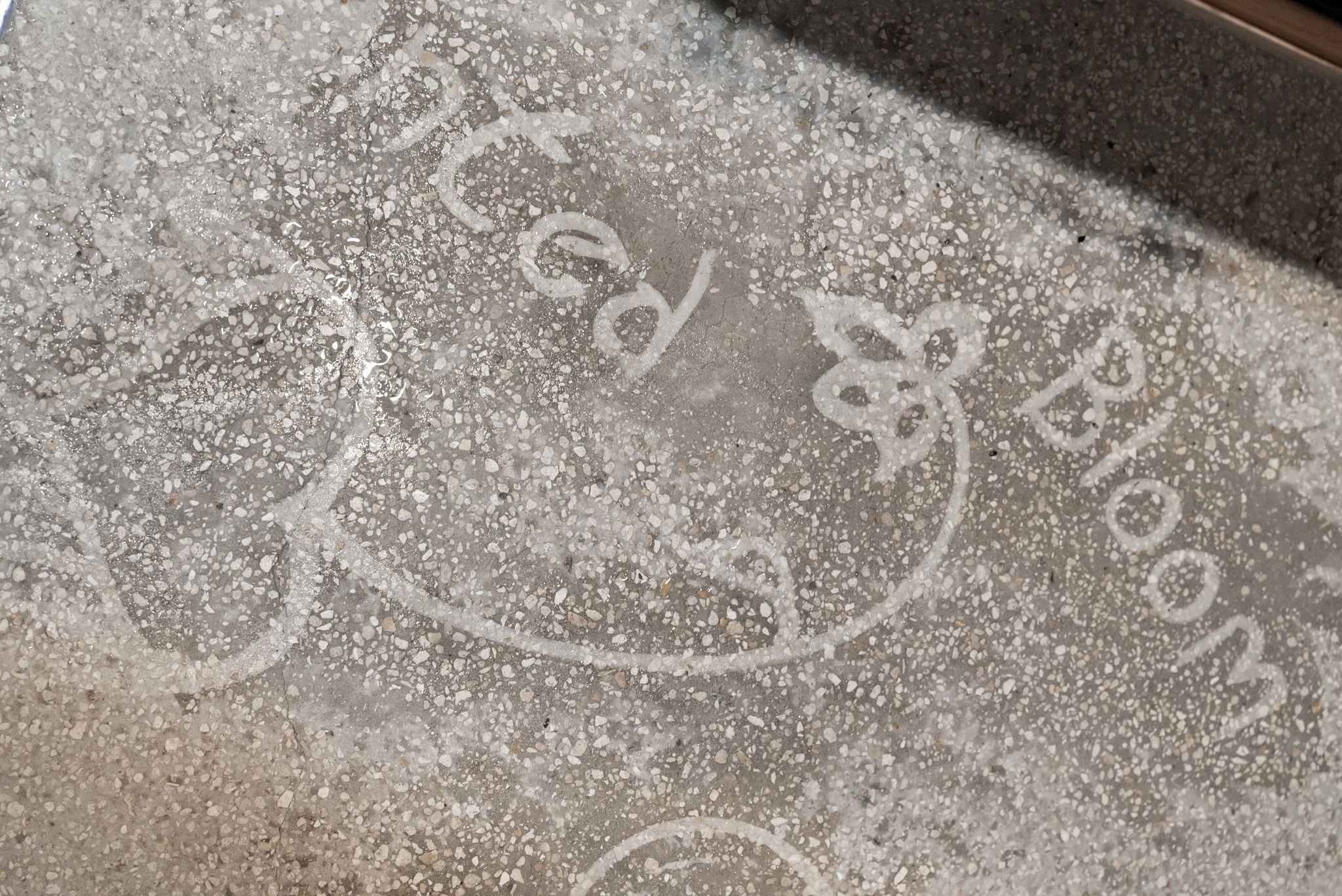 A close-up of a textured surface with a faint, circular pattern and the words 'Good Bloom' visible.