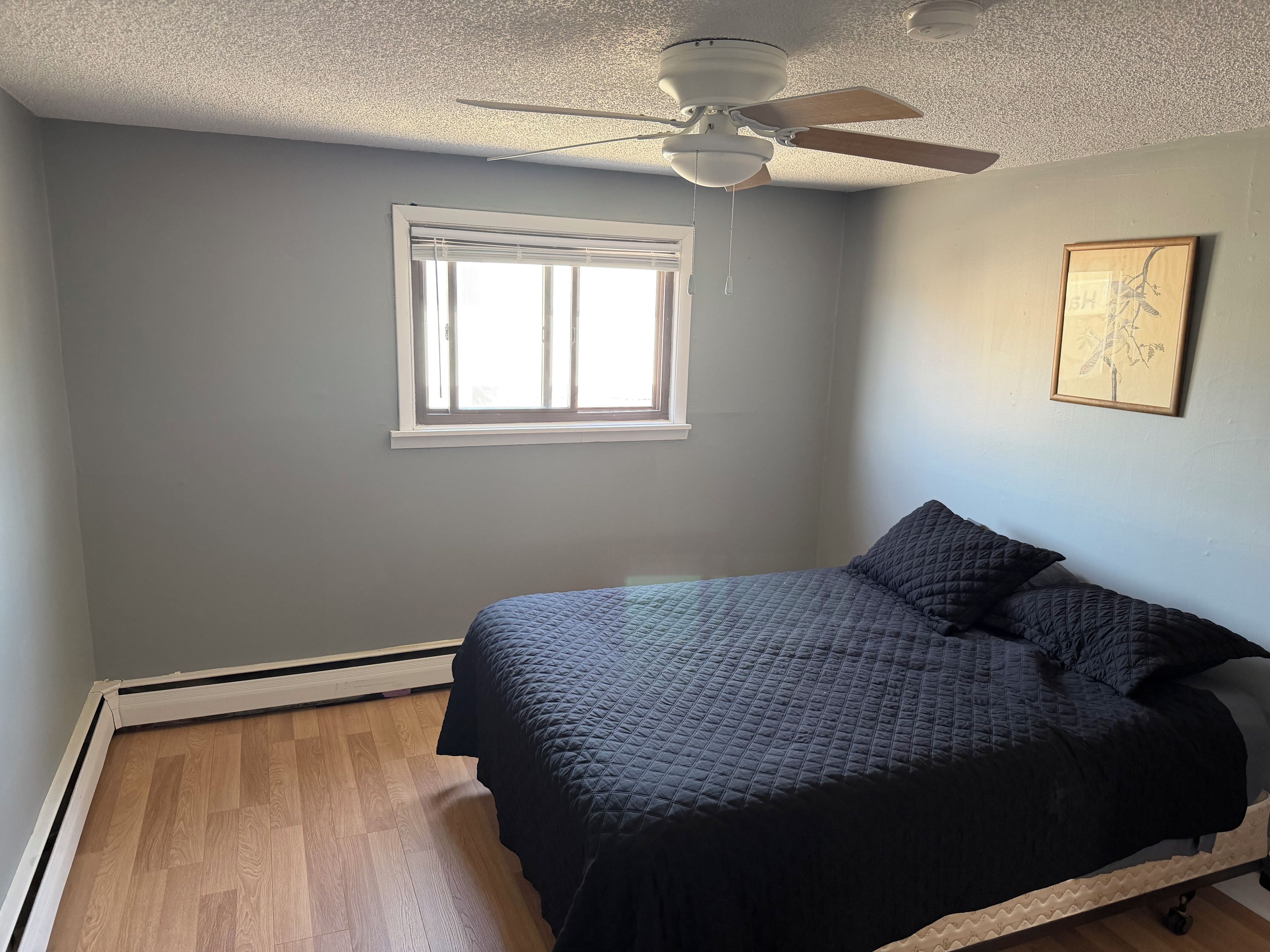 A bedroom with a bed, a ceiling fan, a window, and a framed picture on the wall.