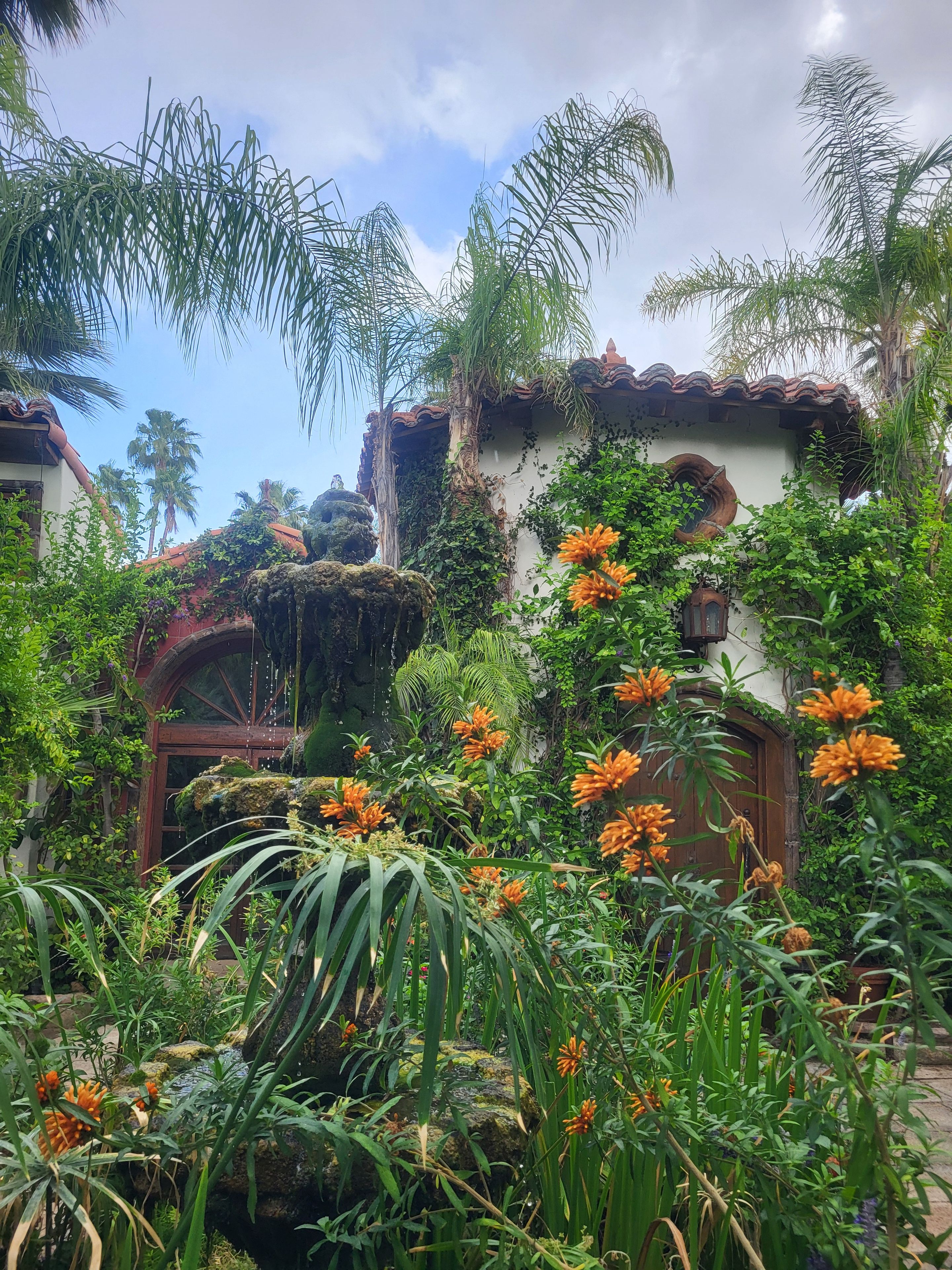 A lush garden with a variety of plants and flowers, a stone wall, and a traditional building with a tiled roof.