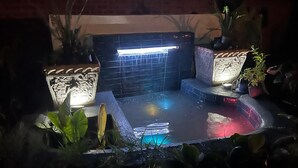 Una habitación oscura con una pequeña piscina, una pared con un aplique y plantas en macetas.
