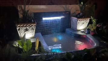 A dark room with a small pool, a wall with a light fixture, and potted plants.